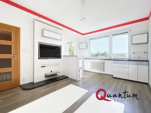 Prodej bytu 1+kk, Praha - Chodov, Ledvinova, 30 m2