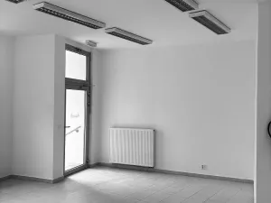 Pronájem obchodního prostoru, Brno - Zábrdovice, Cejl, 135 m2