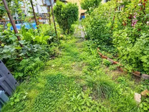 Prodej rodinného domu, Chomutov, Čechova, 120 m2