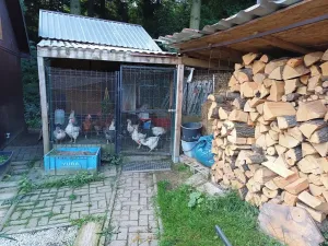 Prodej rodinného domu, Frýdlant nad Ostravicí, Lesní, 101 m2