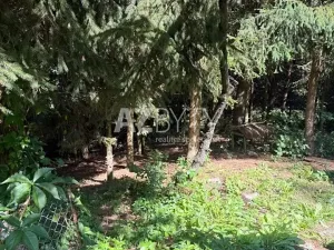 Prodej rodinného domu, Stružnice, 180 m2