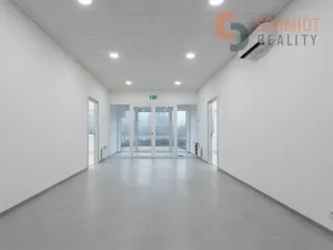 Pronájem ordinace, Břeclav, U Nemocnice, 234 m2