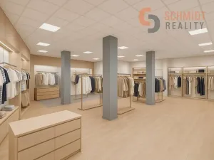 Pronájem obchodního prostoru, Hodonín, Národní třída, 506 m2