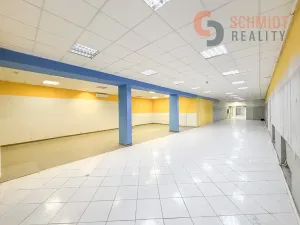 Pronájem obchodního prostoru, Hodonín, Národní třída, 506 m2