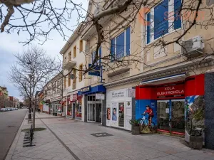 Pronájem obchodního prostoru, Hodonín, Národní třída, 506 m2