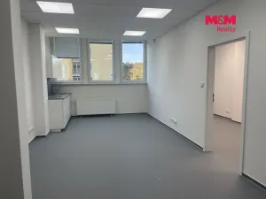 Pronájem obchodního prostoru, Most, Topolová, 48 m2