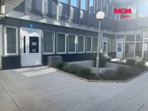 Pronájem obchodního prostoru, Most, Topolová, 48 m2