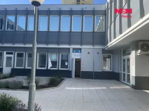 Pronájem obchodního prostoru, Most, Topolová, 48 m2