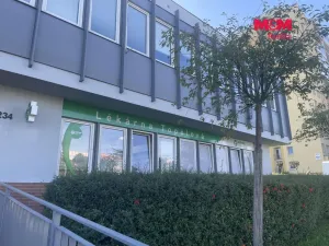 Pronájem obchodního prostoru, Most, Topolová, 48 m2