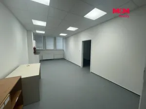 Pronájem obchodního prostoru, Most, Topolová, 47 m2