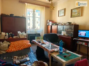 Prodej bytu 1+1, Praha - Vinohrady, Hradecká, 48 m2