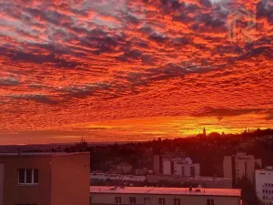 Pronájem bytu 2+1, Praha - Vokovice, Súdánská, 53 m2
