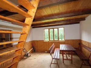 Dražba rodinného domu, Velká Losenice, 64 m2