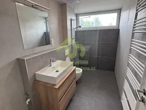 Pronájem bytu 1+kk, Dobřany, Denksteinova, 86 m2