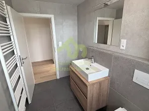 Pronájem bytu 1+kk, Dobřany, Denksteinova, 86 m2