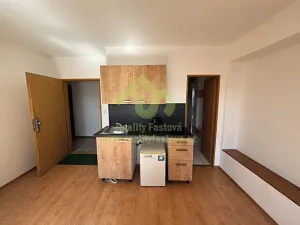 Prodej rodinného domu, Plzeň, Lindauerova, 776 m2