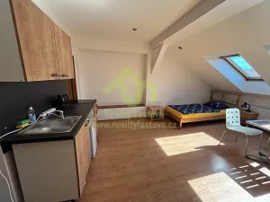 Prodej rodinného domu, Plzeň, Lindauerova, 776 m2