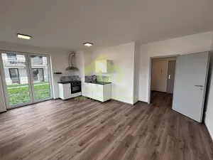 Pronájem bytu 1+kk, Dobřany, Denksteinova, 86 m2
