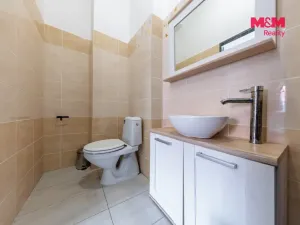 Prodej činžovního domu, Hroznětín, Mlýnská, 327 m2