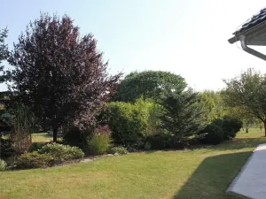 Prodej rodinného domu, Brodek u Konice, 230 m2