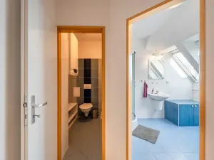 Pronájem bytu 3+kk, Olomouc, Palackého, 70 m2