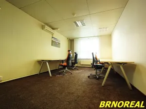Pronájem kanceláře, Brno, Příkop, 20 m2