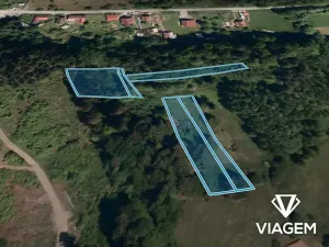 Prodej lesa, Mikulůvka, 3828 m2