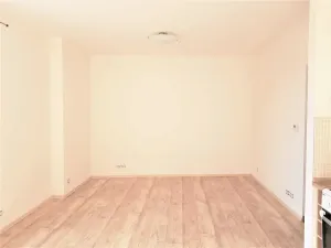 Pronájem bytu 1+kk, České Budějovice, Tylova, 34 m2