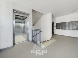Pronájem bytu 1+kk, Jihlava, Okružní, 45 m2
