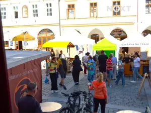 Pronájem obchodního prostoru, Třeboň, Masarykovo nám., 16 m2