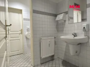 Pronájem obchodního prostoru, Horažďovice, Strakonická, 524 m2