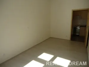 Pronájem bytu 2+1, Praha - Žižkov, Viklefova, 40 m2