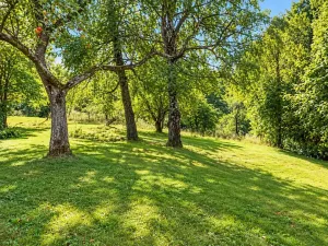 Prodej chalupy, Oskava, 150 m2
