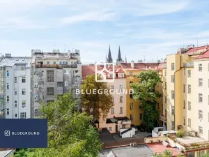 Pronájem bytu 2+kk, Praha - Vinohrady, Sázavská, 46 m2