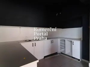 Pronájem restaurace, Praha - Michle, Budějovická, 180 m2