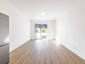Prodej bytu 1+kk, České Budějovice, U Branišovského lesa, 46 m2