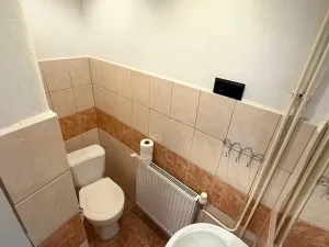 Prodej ubytování, Nová Včelnice, Nádražní ulice, 220 m2