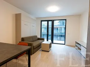 Pronájem bytu 1+kk, Praha - Žižkov, Hartigova, 36 m2