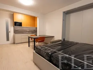 Pronájem bytu 1+kk, Praha - Žižkov, Hartigova, 36 m2