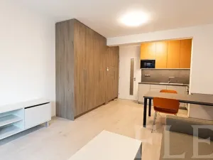 Pronájem bytu 1+kk, Praha - Žižkov, Hartigova, 36 m2