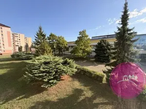 Pronájem bytu 3+1, Přerov, Svornosti, 70 m2