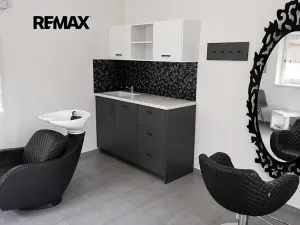 Prodej rodinného domu, Heršpice, 309 m2