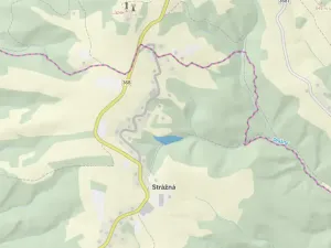 Prodej lesa, Strážná, 11485 m2