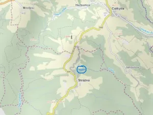 Prodej lesa, Strážná, 11485 m2