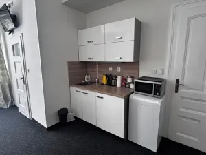 Pronájem bytu 1+kk, Ostrava, Zalužanského, 25 m2