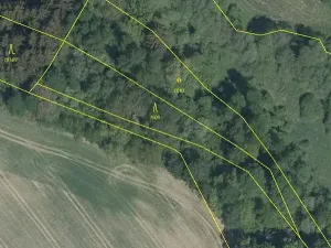 Prodej podílu lesa, Nový Rychnov, 6035 m2