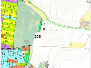 Prodej lesa, Černovice, 2403 m2