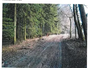 Prodej lesa, Ždírec nad Doubravou, 21716 m2