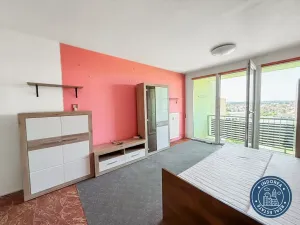Prodej bytu 1+kk, Jindřichův Hradec, sídliště Vajgar, 29 m2
