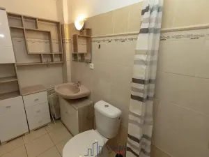 Prodej vícegeneračního domu, Duchcov, Tyršova, 320 m2